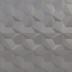 Объемные металлокассеты Ракушки