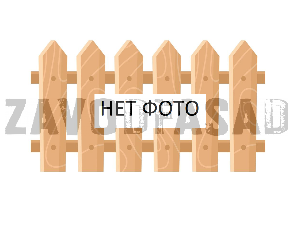 Заполнитель